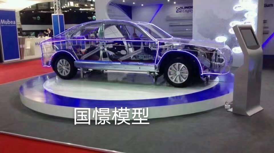 晋州市透明车模型